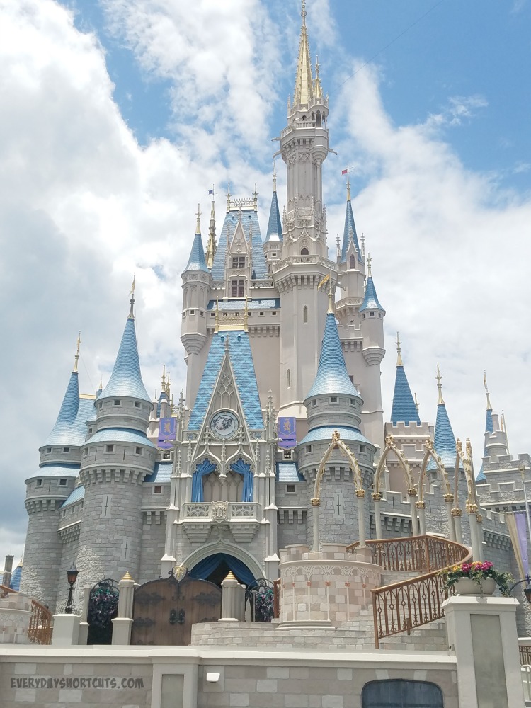 Free Disney Parks Vacation Planning DVD and Money Saving Tips