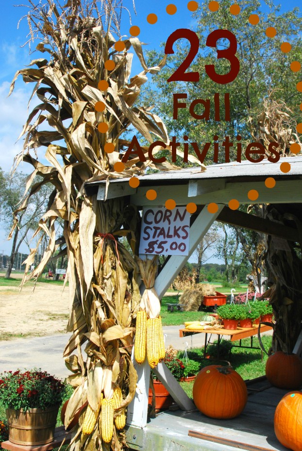 fallactivities