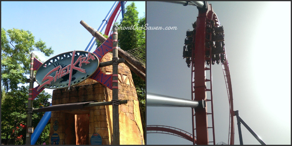 Busch Gardens Sheikra