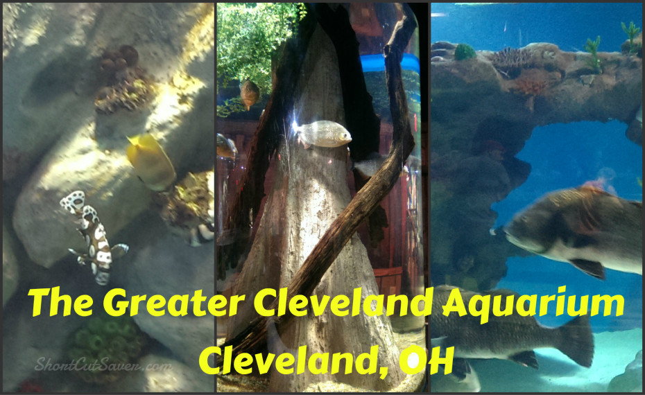 The Greater Cleveland Aquarium