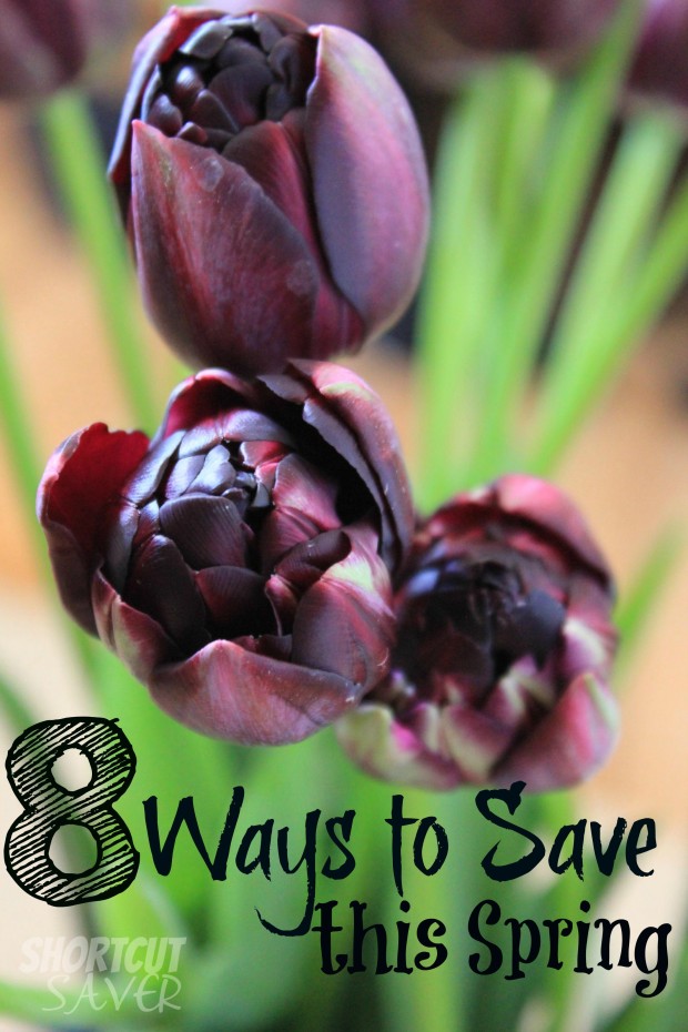 ways to save this spring