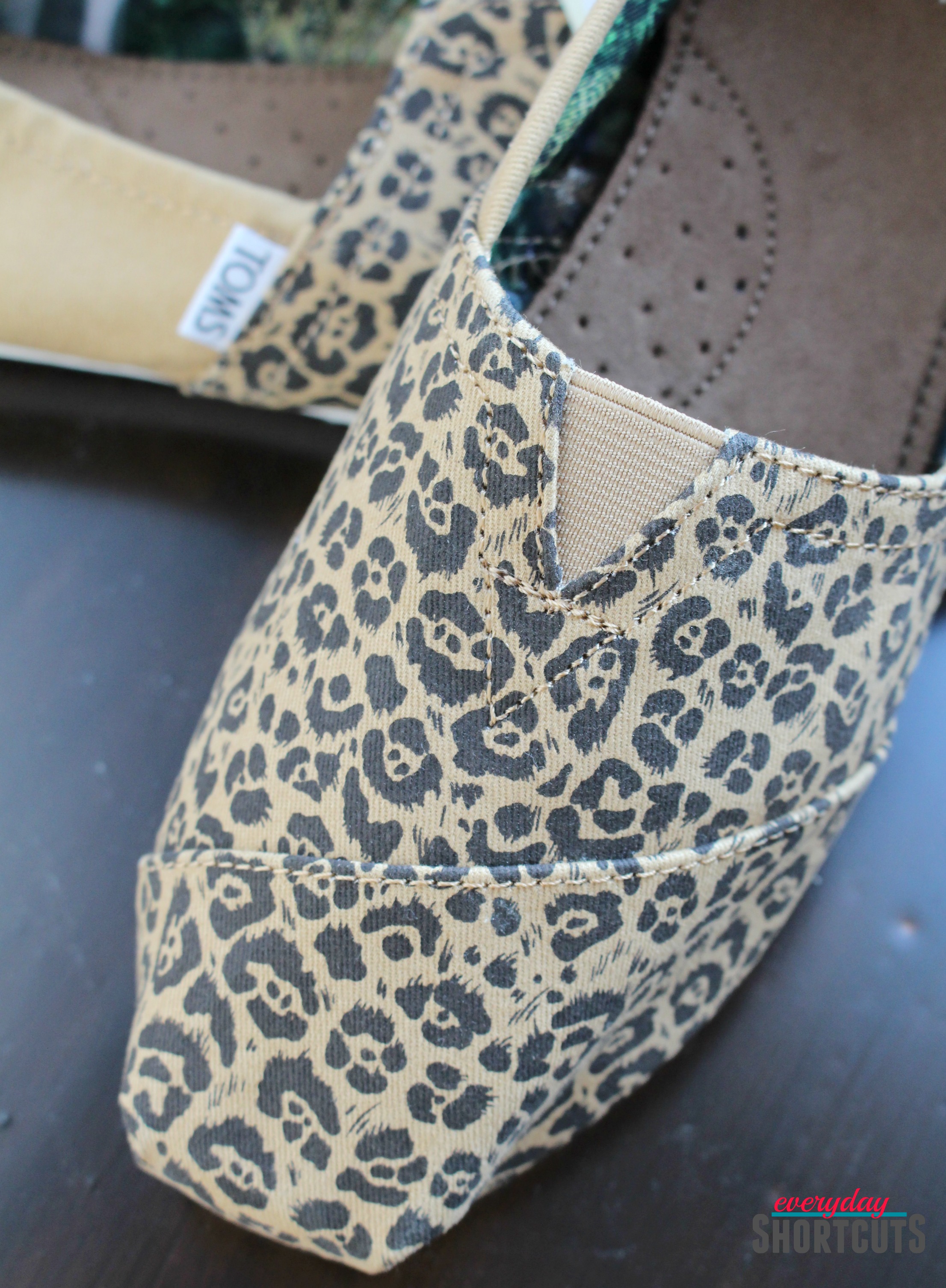 Help Save Big Cats with TOMS New Collection Everyday Shortcuts