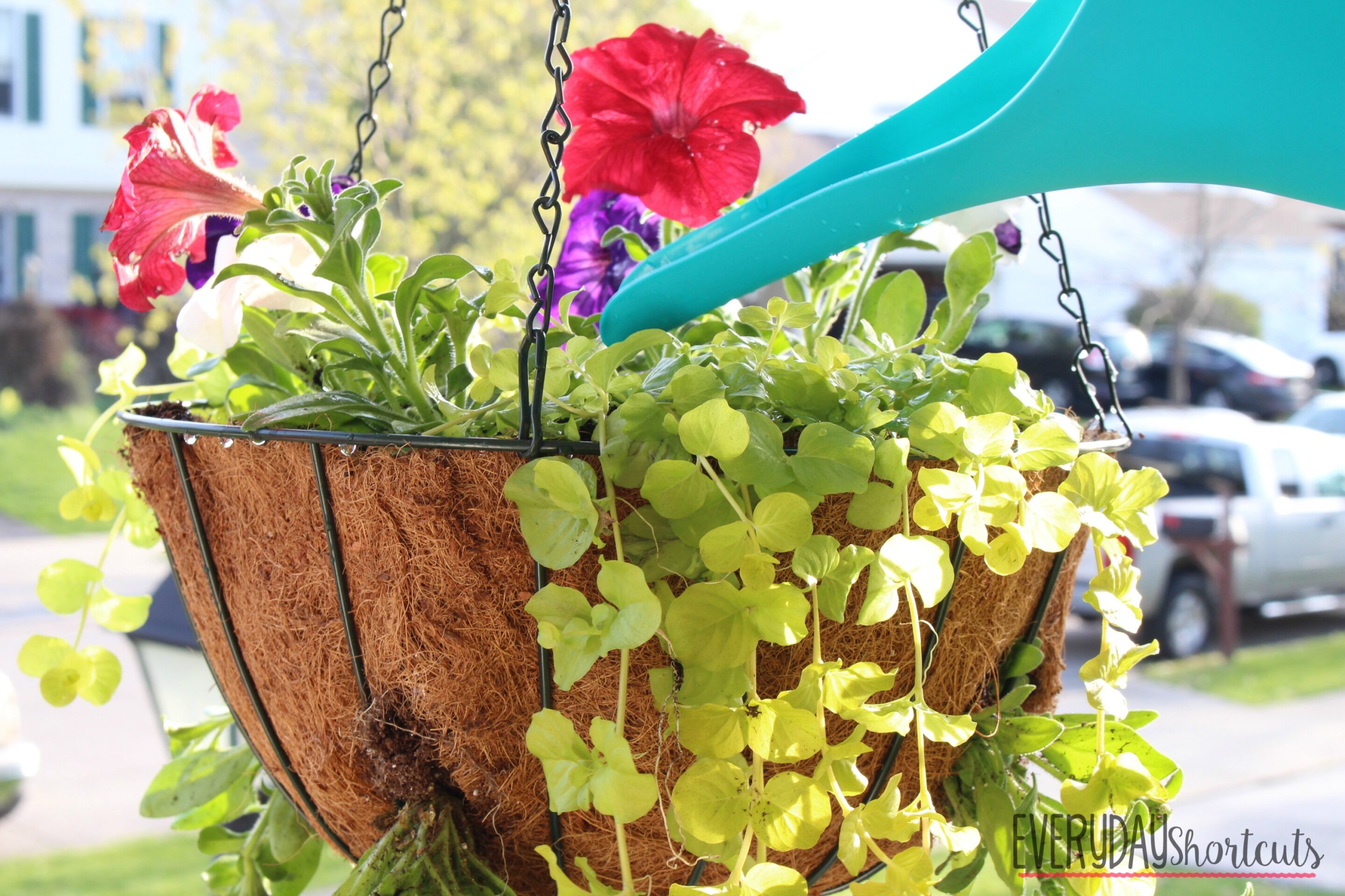 finished hanging basket