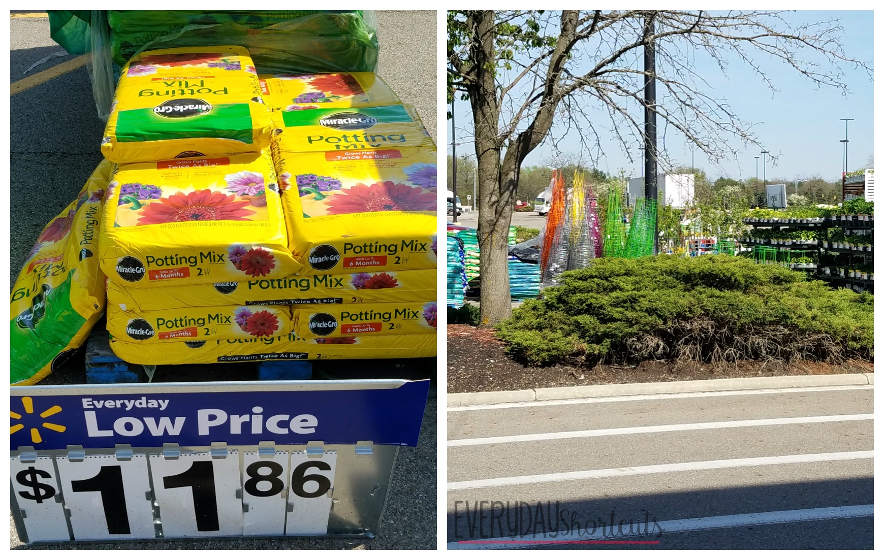 walmart garden center