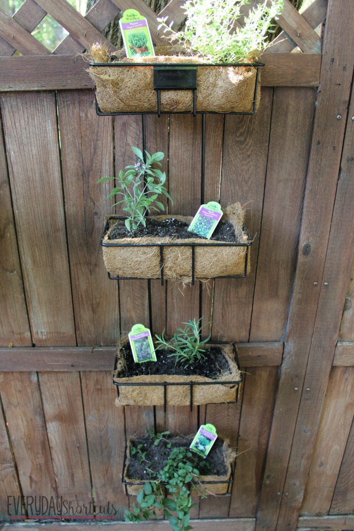 herb garden final