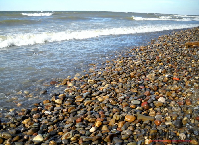 lake erie beach