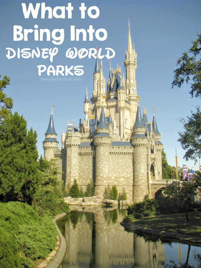 what-to-bring-into-disney-world-parks