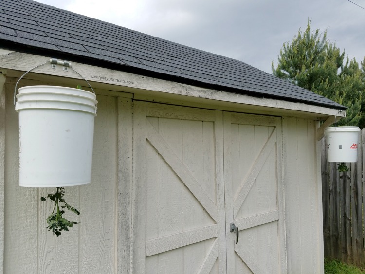 5 gallon buckets attached to shed