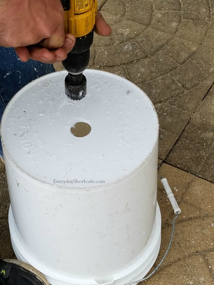 How To Plant Tomatoes In A 5 Gallon Bucket at John Hilbert blog