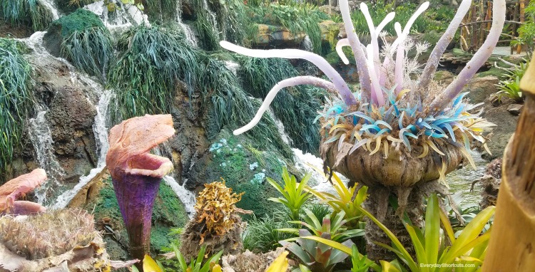 plants at Pandora