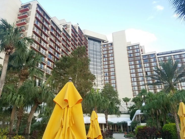 Reasons Why You Will Never Get Bored At The Hyatt Regency Grand Cypress   Hyatt Regency Grand Cypress Hotel 733x550 