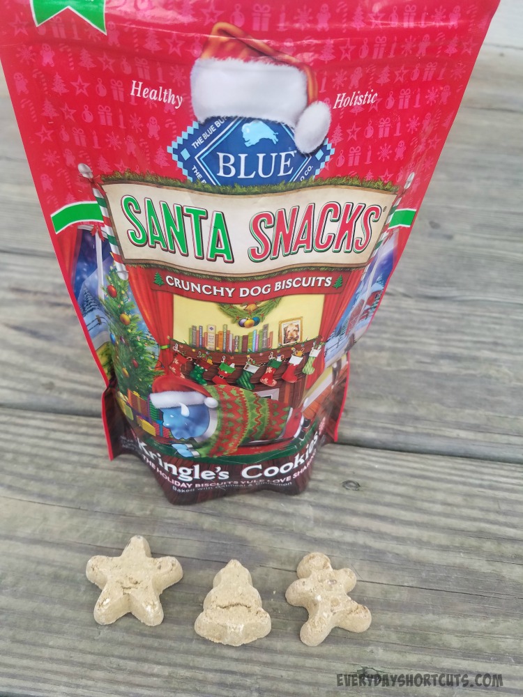 Blue 2024 santa snacks