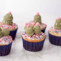 CactiCupcakes-200x200