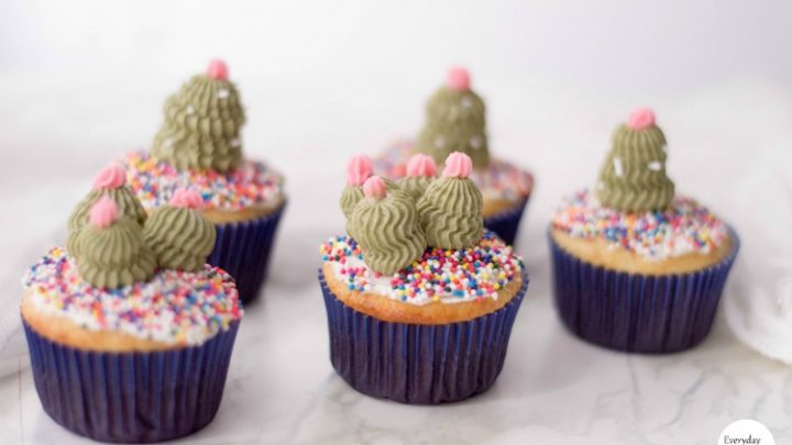 Cactus Succulent Cupcakes Everyday Shortcuts