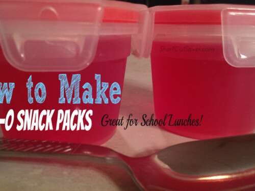 kids snack containers for school 2x Work Travel Kids Lunch