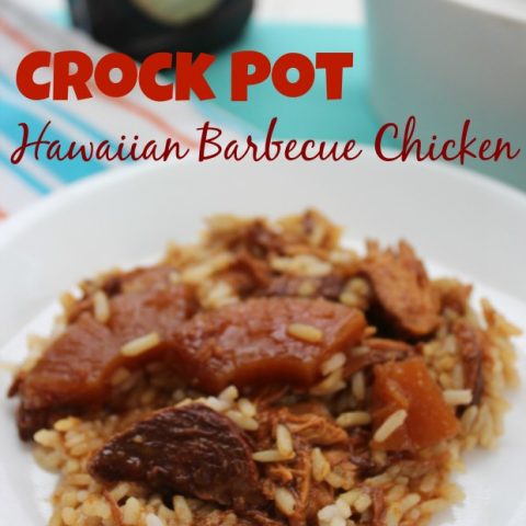 bbqchicken-620x930-480x480