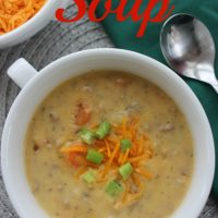 cheeseburgersoup-620x930-200x200