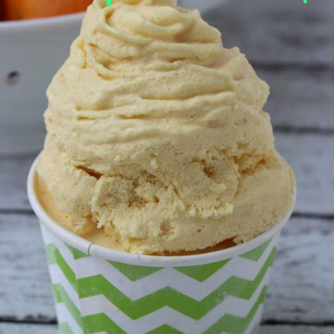 copycat-disney-dole-whip_mini-620x930-480x480