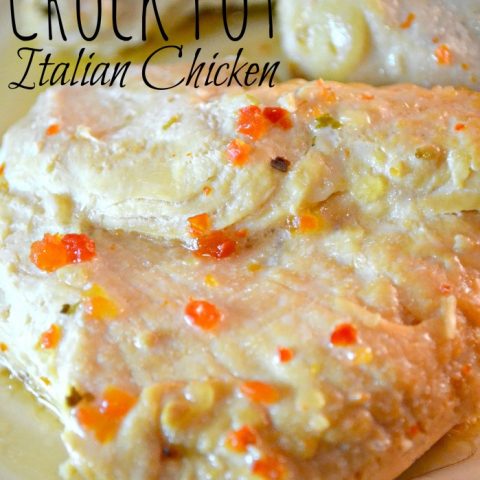 crock-pot-italian-chicken-699x930-480x480