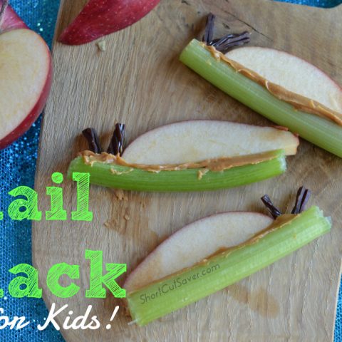 snail-snack-930x618-480x480