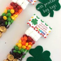 st.-patricks-day-rainbow-treat-bags-620x930-200x200