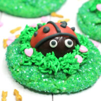 Love-Bug-Cookies-Recipe-200x200