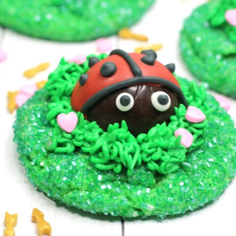 Love-Bug-Cookies-Recipe-480x480