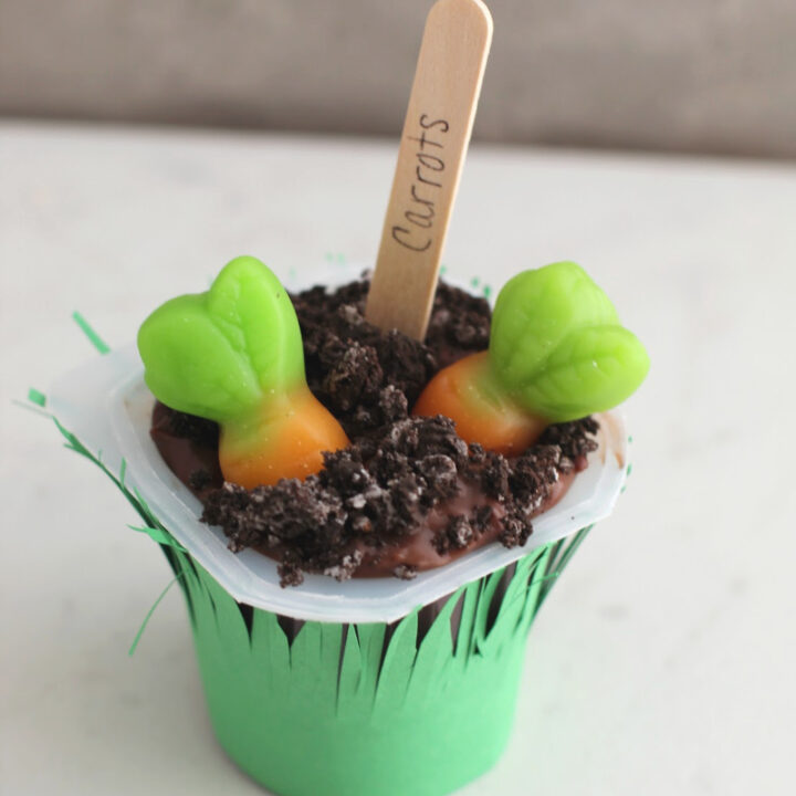 dirt-pudding-with-carrots-720x720