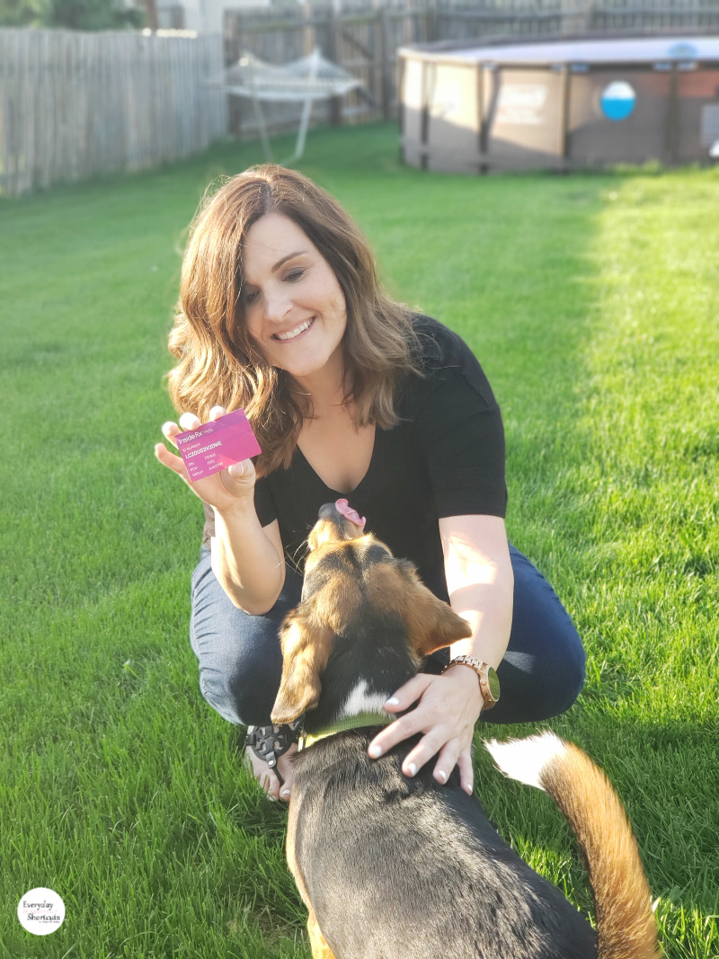rx savings card for pets - Everyday Shortcuts