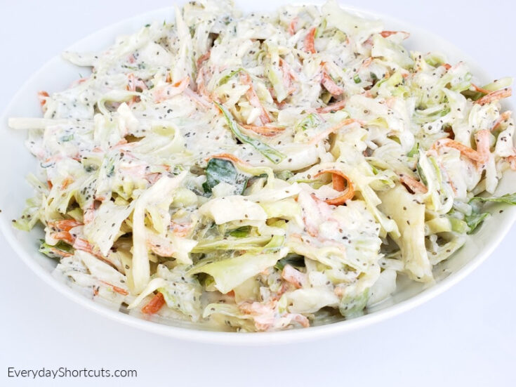 Keto Creamy Coleslaw Recipe Everyday Shortcuts