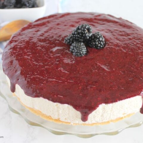 blackberry-cheesecake-480x480
