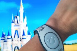 New Disneyland Flex Pass Has More Flexibility - Everyday Shortcuts