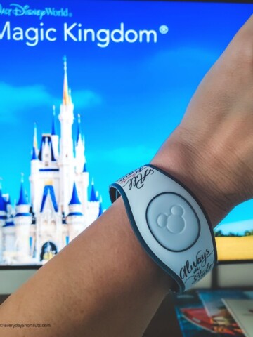 Experience More Magic with Disney Bands