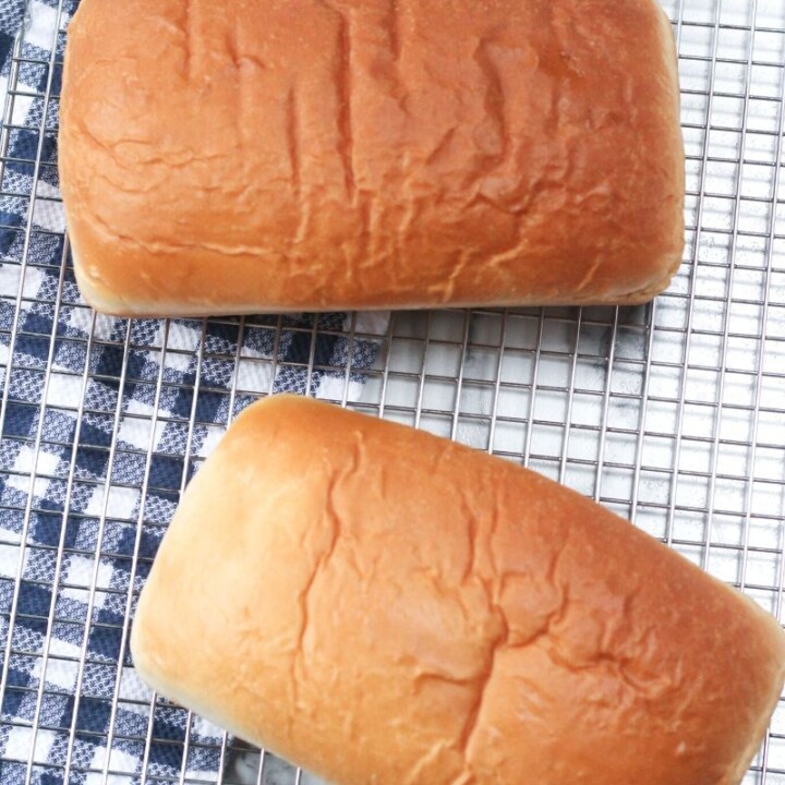 Homemade Basic Bread Recipe