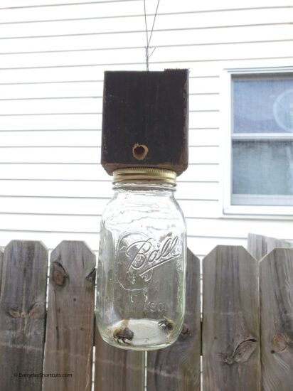 How to Build a Carpenter Bee Trap - Everyday Shortcuts