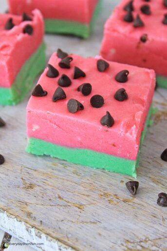 Watermelon Fudge Recipe - Everyday Shortcuts