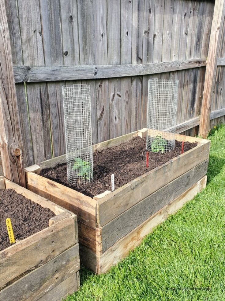 How to Build Raised Garden Beds from Wood Pallets Everyday Shortcuts
