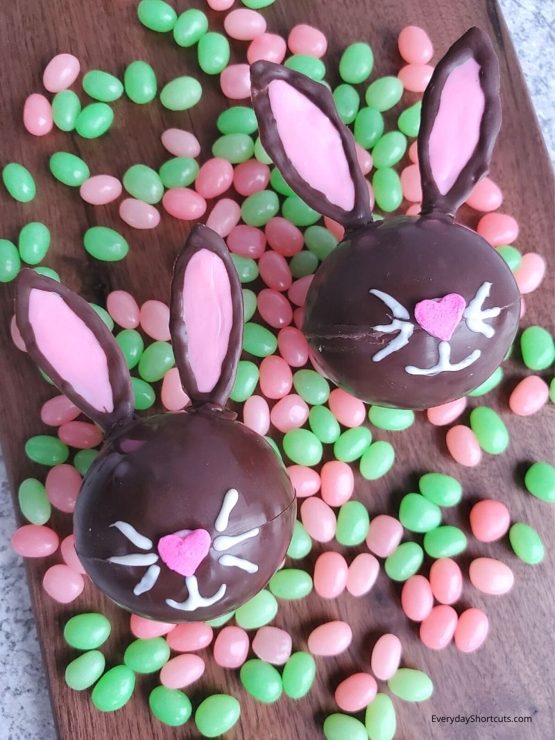 How to Make a Breakable Chocolate Bunny