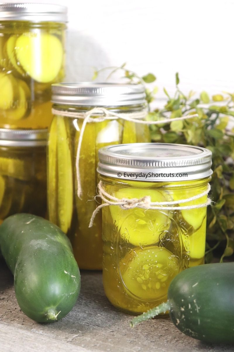 Polish Canning Pickles Recipe