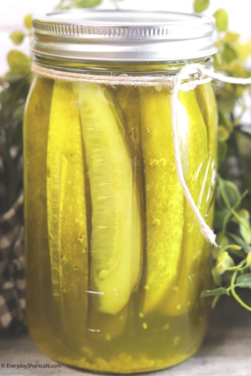 Kosher and Polish canning pickles
