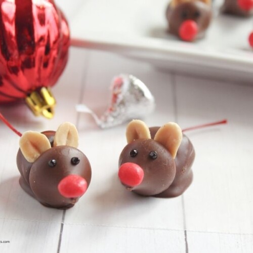 Chocolate Cherry Christmas Mice - Everyday Shortcuts