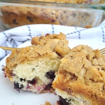 Blueberry Crumble Cake - Everyday Shortcuts
