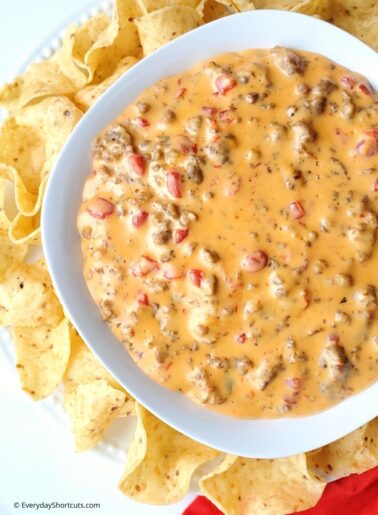 Slow Cooker Sausage Rotel Dip - Everyday Shortcuts