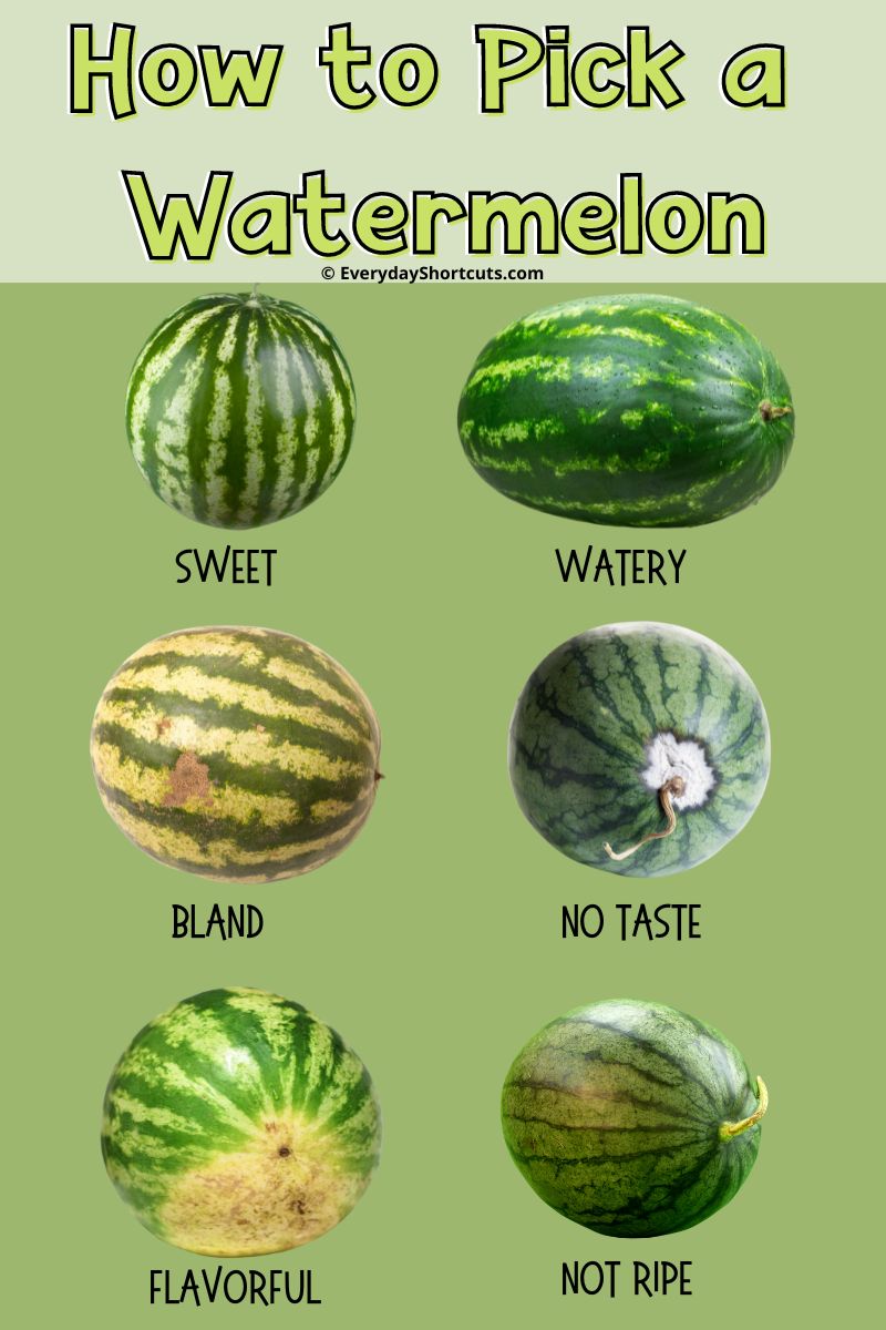 How to Pick the Perfect Watermelon Everyday Shortcuts