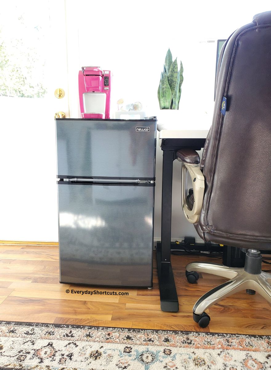 mini fridge and freezer in home office