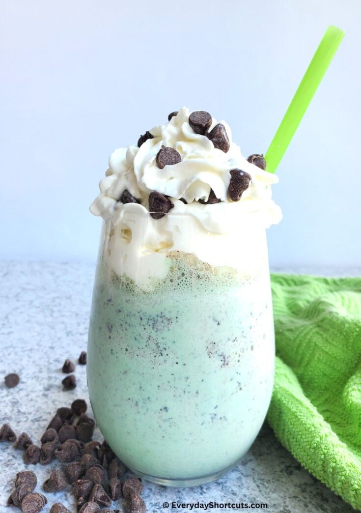 Mint Chocolate Chip Shake - Everyday Shortcuts