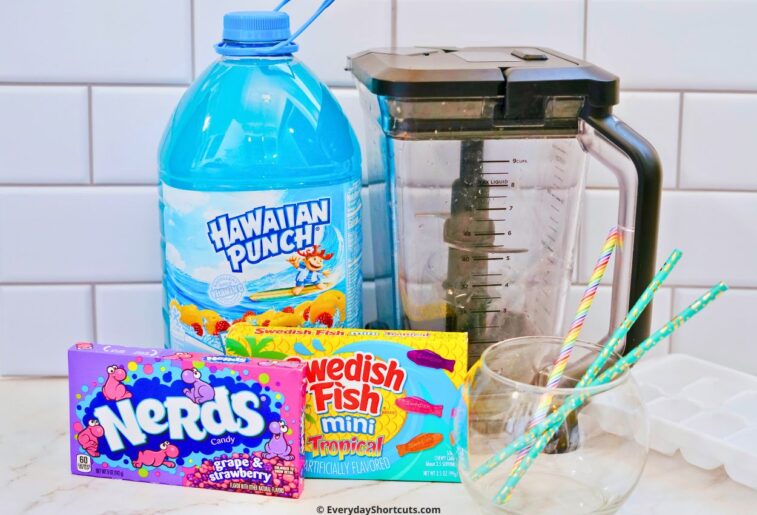 Fish Bowl Drink for Kids Everyday Shortcuts