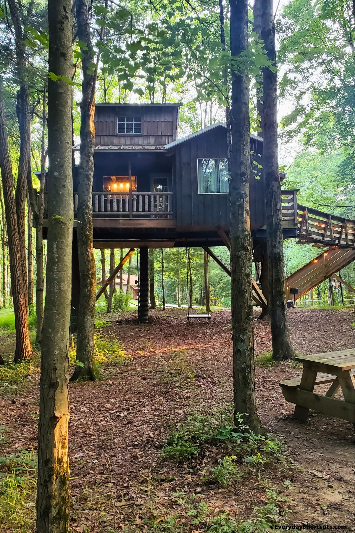 back view of moonlight treehouse