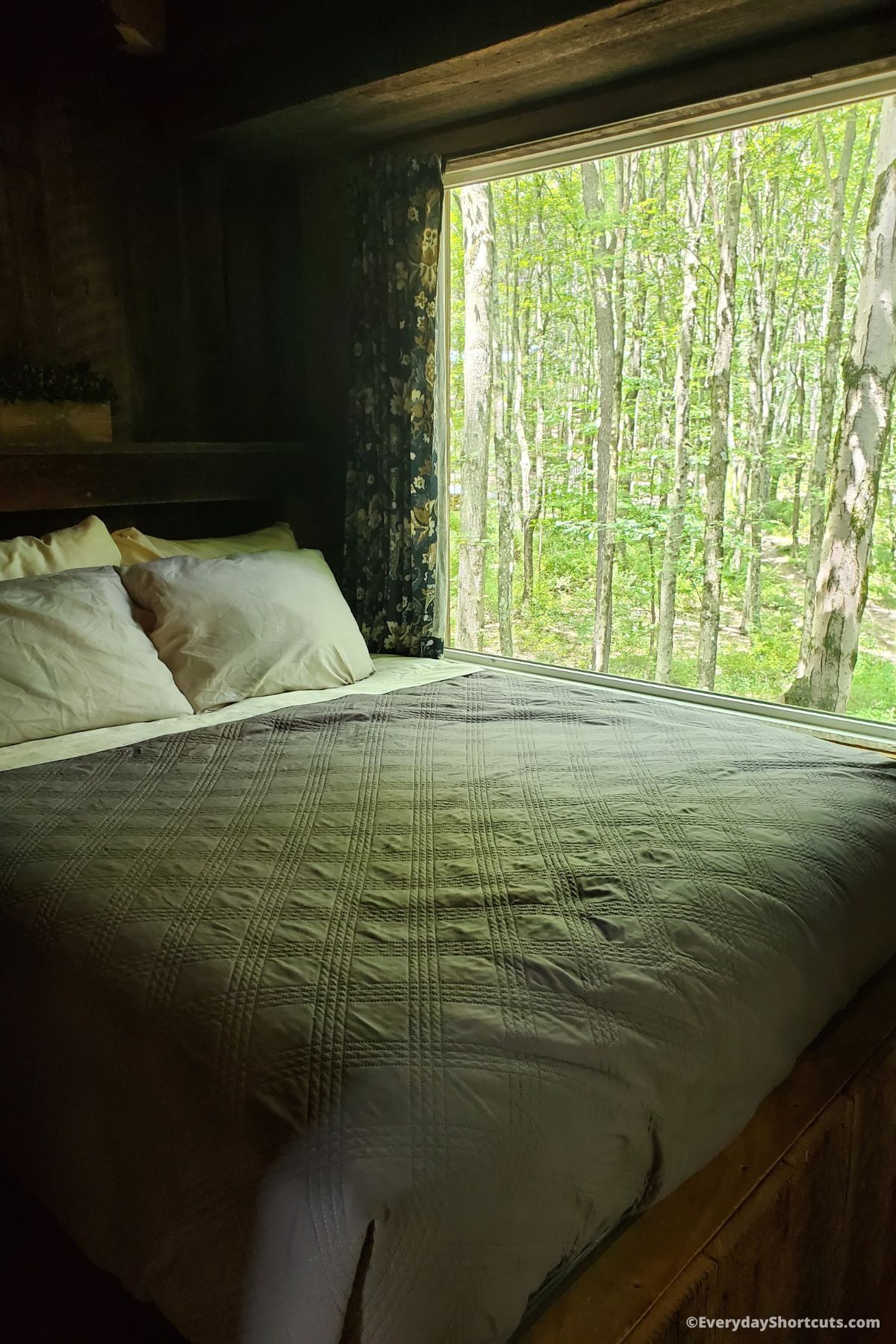 bedroom with big window and view of forest