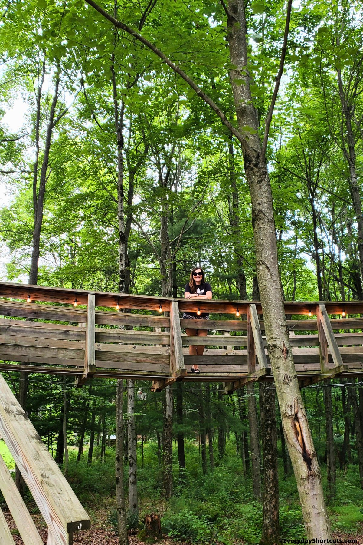 swinging bridge at moonlight treehouse